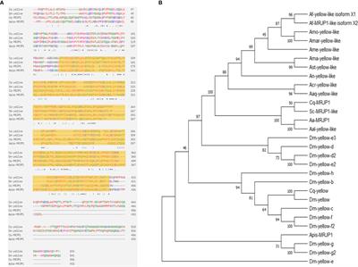 Consuming royal jelly alters several phenotypes associated with overwintering dormancy in mosquitoes